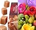 25 Posy Freesias with Guernsey Fudge