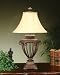 Alexander-John Iron Cage Table Lamp