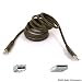 Belkin Pro Series Hi-speed Usb 2.0 Device Cable - Usb Cable - 4 Pin Usb Type A (m) - 4 Pin Usb Type B (m) - 6 Ft ( Usb / Hi-speed Usb ) - Molded