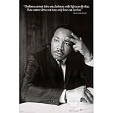 Martin Luther King Jr. (Darkness Quote) Art Poster Print