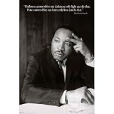 (24x36) Martin Luther King Jr. (Darkness Quote) Art Poster Print