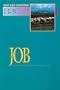 Basic Bible Commentary Job Volume 9 (Abingdon Basic Bible Commentary)