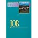 Basic Bible Commentary Job Volume 9 (Abingdon Basic Bible Commentary)