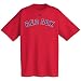 Boston Red Sox Official Wordmark Short Sleeve T-Shirt (Large)