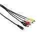 Hama Connecting Cable Sony AV Plug (10-pin) to 3 RCA (phono) + S-Video, 1.5m  from Hama