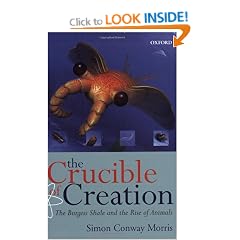 The Crucible of Creation: The Burgess Shale and the Rise of Animals