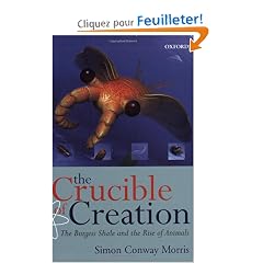 The Crucible of Creation: The Burgess Shale and the Rise of Animals