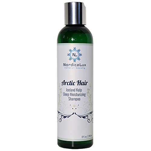 Arctic Hair - Iceland Kelp Deep Moisturizing Shampoo 8 Ounce | Deep Moisturizes Hair Shaft | Gentle Cleansing | Organic Iceland Geothermal Kelp, Witch Hazel Hydrosol, Tea Tree Hydrosol, Rosemary & Amber Extracts | 8 oz