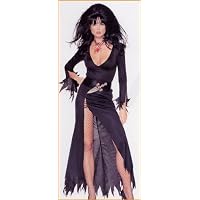Leg Avenue Women's Evil Witch Costume