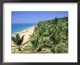 Beach and Coconut Palms, Kovalam Beach, Kerala State, India Scenic Framed Art Poster Print by Gavin Hellier, 22x18