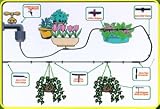 Sales and Marketing Direct Ltd Micro Water Irrigation System