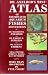Dr. Axelrod's Mini-atlas Of Freshwater Aquarium Fishes Mini-edition