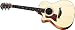 Taylor Guitars 314ce-L Grand Auditorium Acoustic Electric Guitar, Left Handed