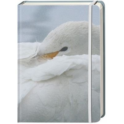 Heye 26567 - Blank Book Schwan mittel, 352 Seiten Preisvergleich