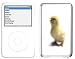 Chick - Lapjacks skin for Apple iPod video 5th generation