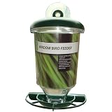 Window Bird Feeder