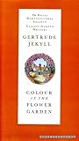 Colour in the flower garden