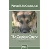 The Cautious Canine: How to Help Dogs Conquer Their Fears