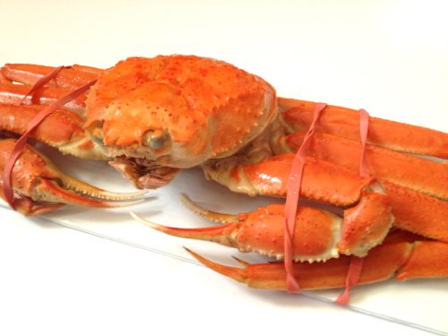 本ズワイガニ姿 天然 たっぷり蟹味噌の特大サイズ５００ｇX３尾入 総重量１５００ｇ ３名分