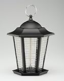 METAL CARRIAGE WILD BIRD NUT FEEDER ROBUST AND STYLISH