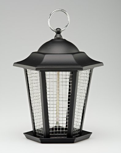 METAL CARRIAGE WILD BIRD NUT FEEDER ROBUST AND STYLISH