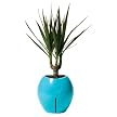 Grobal Baby Self-Watering Flower Pot - Sky Blue