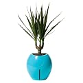 Grobal Baby Self-Watering Flower Pot - Sky Blue