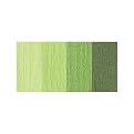 Bazzill Bling Cardstock Pad 20 pk. - Green Multicolor (12")