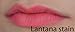 Super Staying Lip Stain - Lantana Rosy Apricot - Morpho Cosmetics - Long Lasting Lip Stain