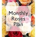 3 Months of Fresh Roses