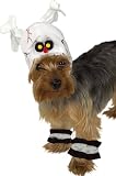 Dog and Cat Costumes - Dog Skeleton Costume Large Dog