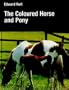 Coloured Horse and Pony (Allen breed series)