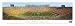 University of Michigan - Panoramic Print - Poster