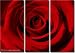 Framed Huge 3 Panel Flower Floral Art Red Rose Giclee Canvas Print