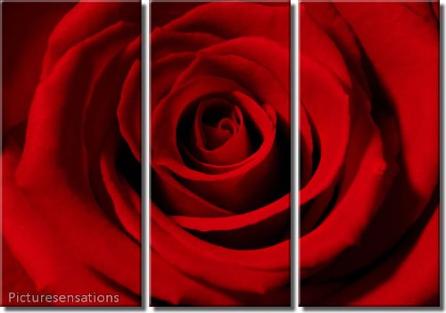 Single Red Rose Art Image single red rose art image