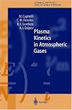 Plasma Kinetics in Atmospheric Gases (Springer Series on Atomic, Optical, and Plasma Physics)