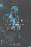 Divided Soul