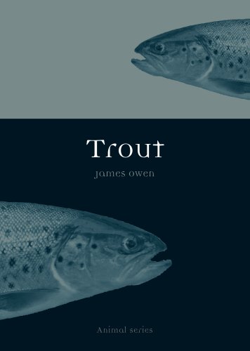 Trout (Animal)