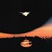 Foreign Body [Vinyl LP]