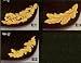 56th Personnel Services Battalion Distinctive Unit Insignia - Pair
