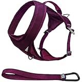 Kurgo Go-Tech Adventure Dog Harness, Large, Raspberry - Lifetime Warranty
