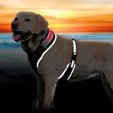 Trixie 13265 Flash Softgeschirr, L-XL: 65-100 cmvon "Trixie"
