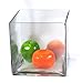 CYS EXCEL Glass Cube Vase (8