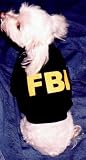 Dog T-shirt 