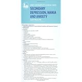 J & B Clinical Cards: Secondary Depression And Anxietyby David  P. Moore