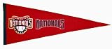 MLB Washington Nationals Medium Pennant