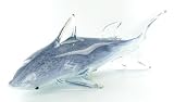 Great White Shark Glass Art Sculpture Statue Figure