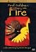 Paul Soldner: Playing With Fire