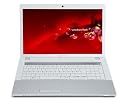 Packard Bell EASYNOTE LM98-CU-065GE 43.9 cm (17.3 Zoll) Notebook (Intel P6000 1.9GHz, 4GB RAM, 320GB HDD, ATI HD 5650 1024 MB DDR3 VRAM, DVD, Win 7 HP)