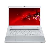 Packard Bell Easynote LM98-GU-014GE 43,9 cm (17,3 Zoll) Notebook (Intel Pentium P6100, 2GHz, 4GB RAM, 320GB HDD, Intel X4500HD , DVD, Win7 HP) wei�von "Packard Bell"